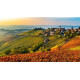 PANORAMI AUTUNNALI NELLE LANGHE con pranzo in ristorante